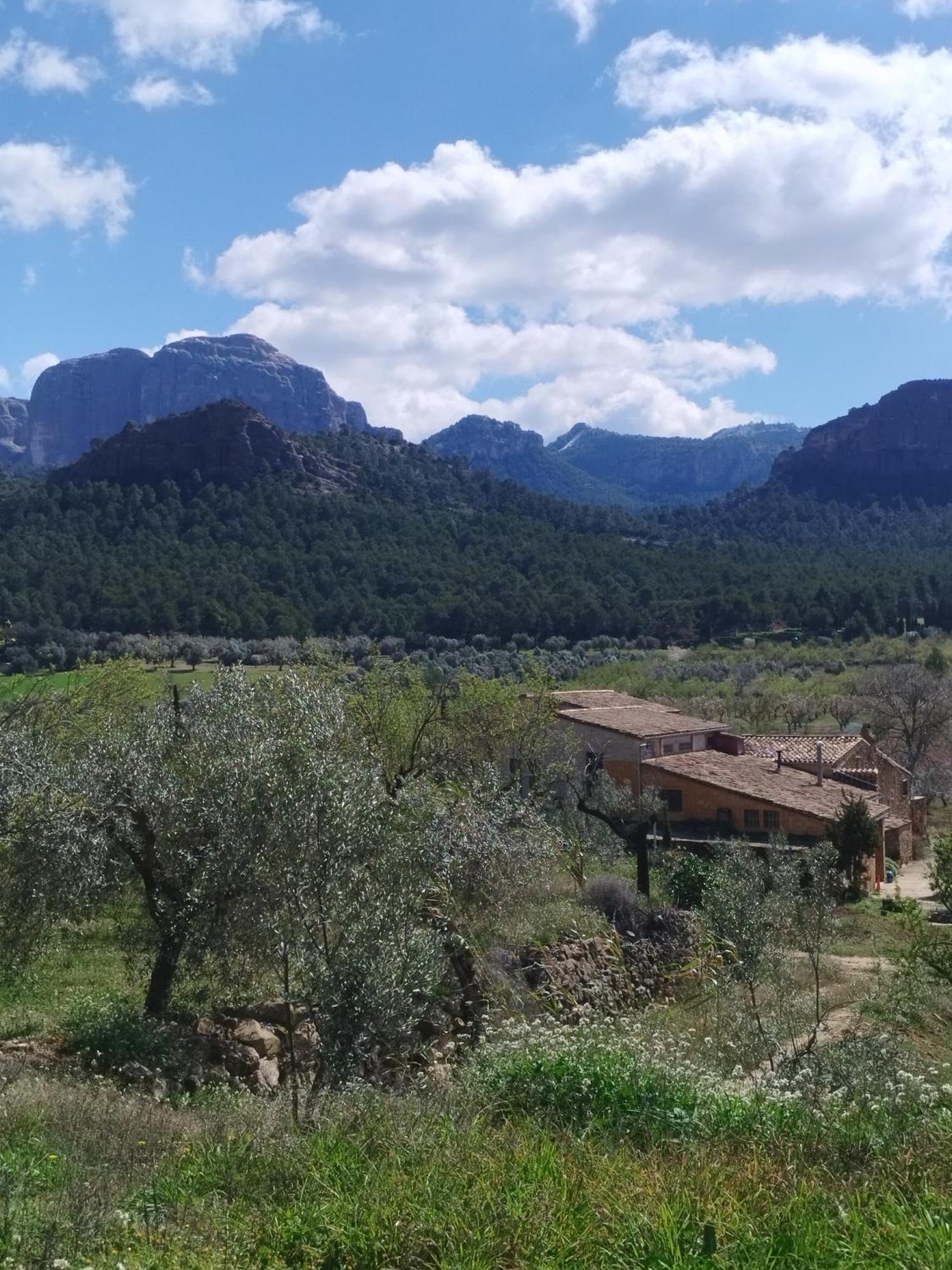 Appartement Mas De Manresa à Horta de Sant Joan Extérieur photo